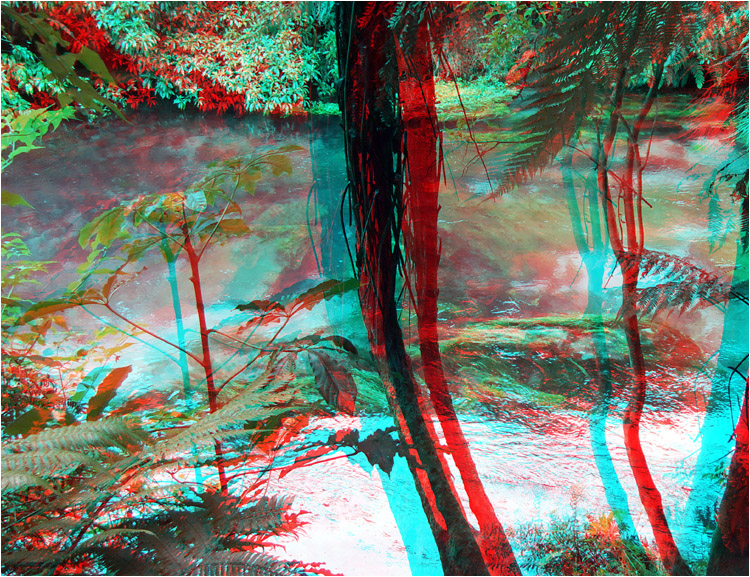 3-D view of the clear water of the Putaruru Springs.