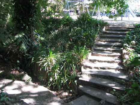 Into the Fernery Gully