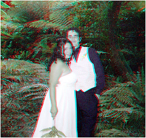 Tammy and Nathaniel Lee. 3-D Wedding Photography by Marc Dawson.